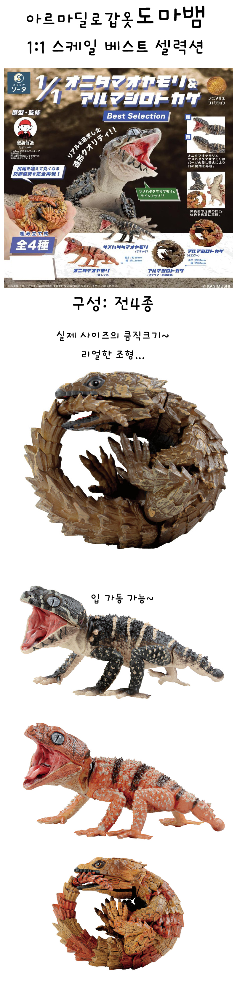 아르마딜로 갑옷 도마뱀 1:1 스케일 베스트 셀력션 4종풀세트 상세 이미지 2